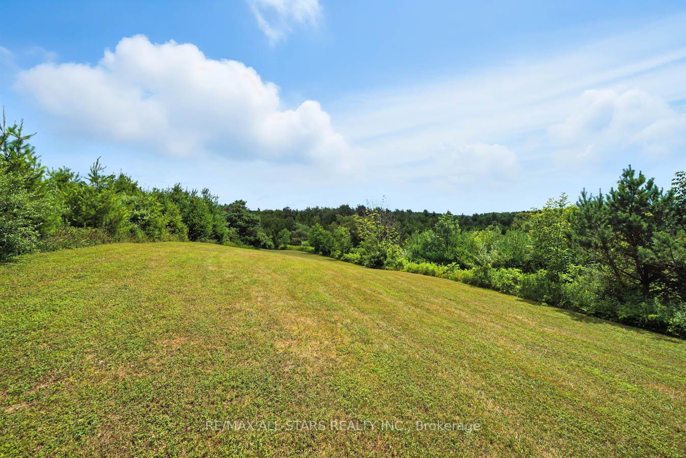 8287 Allin Road Property Photo 43
