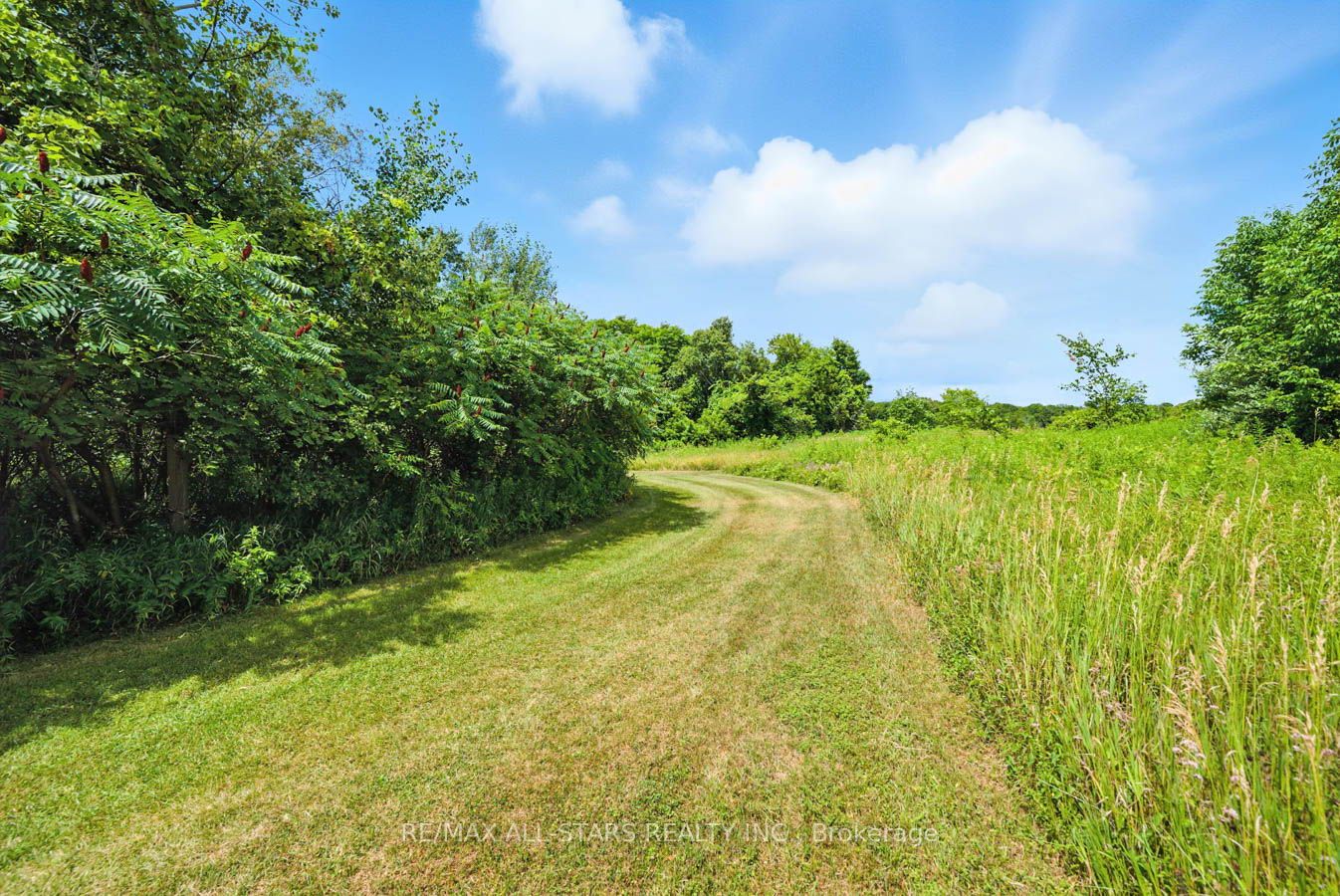 8287 Allin Road Property Photo 45