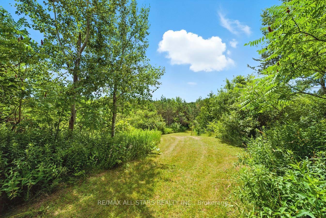 8287 Allin Road Property Photo 46