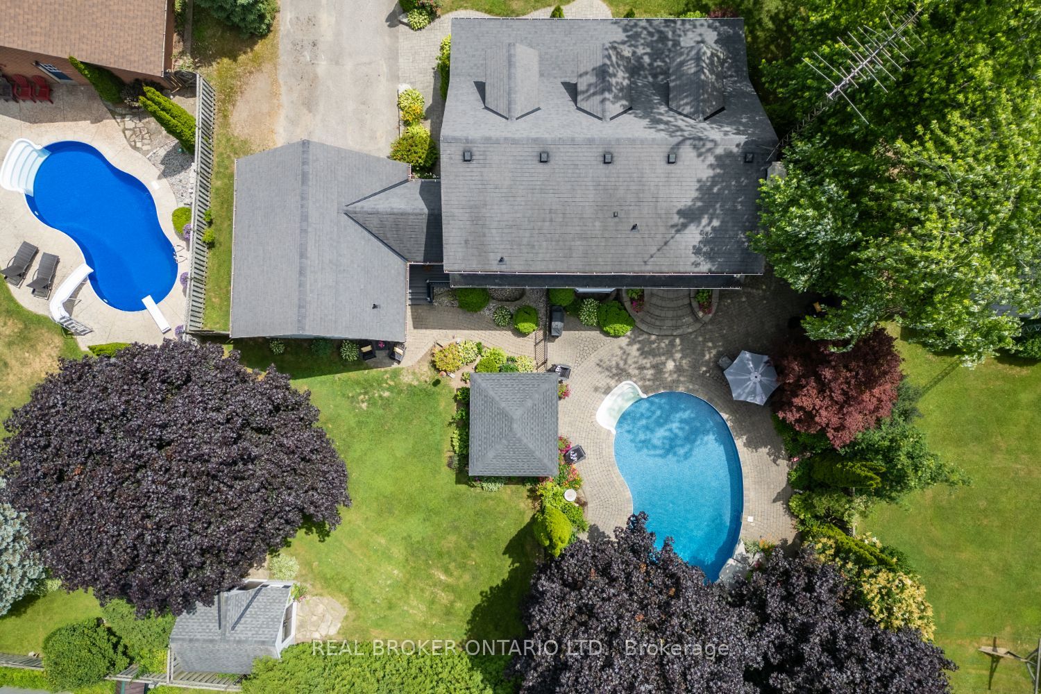 10 Brownsville Court Property Photo 48