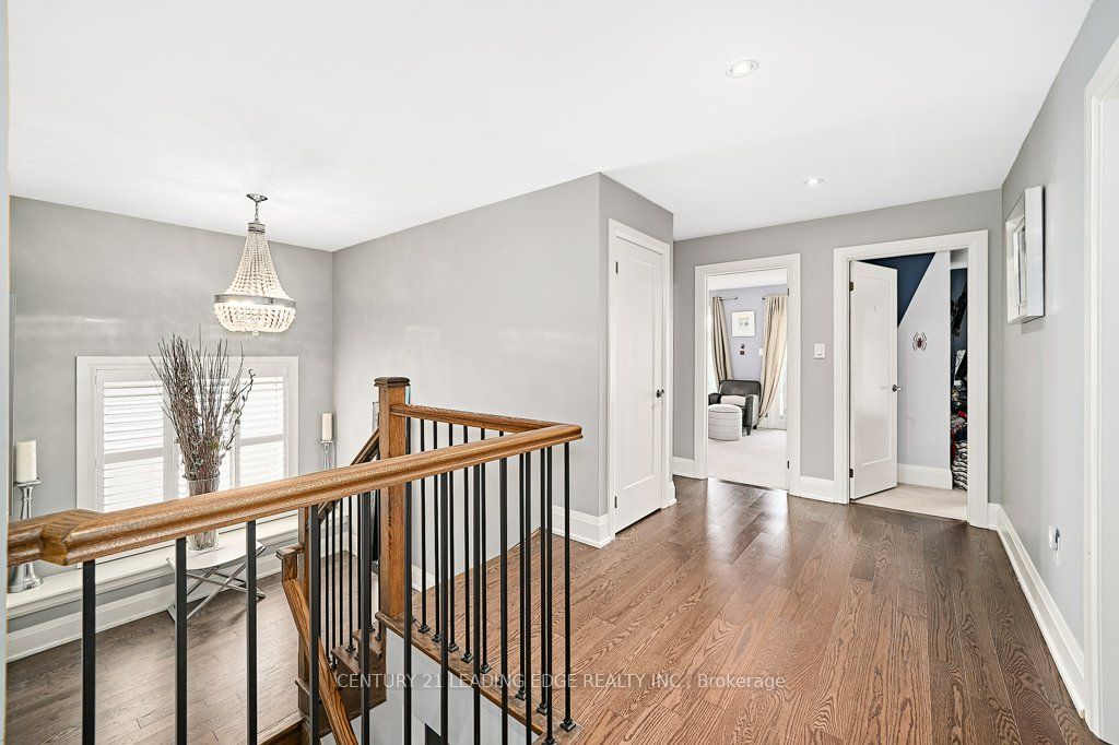 4 Mann Street Property Photo 39