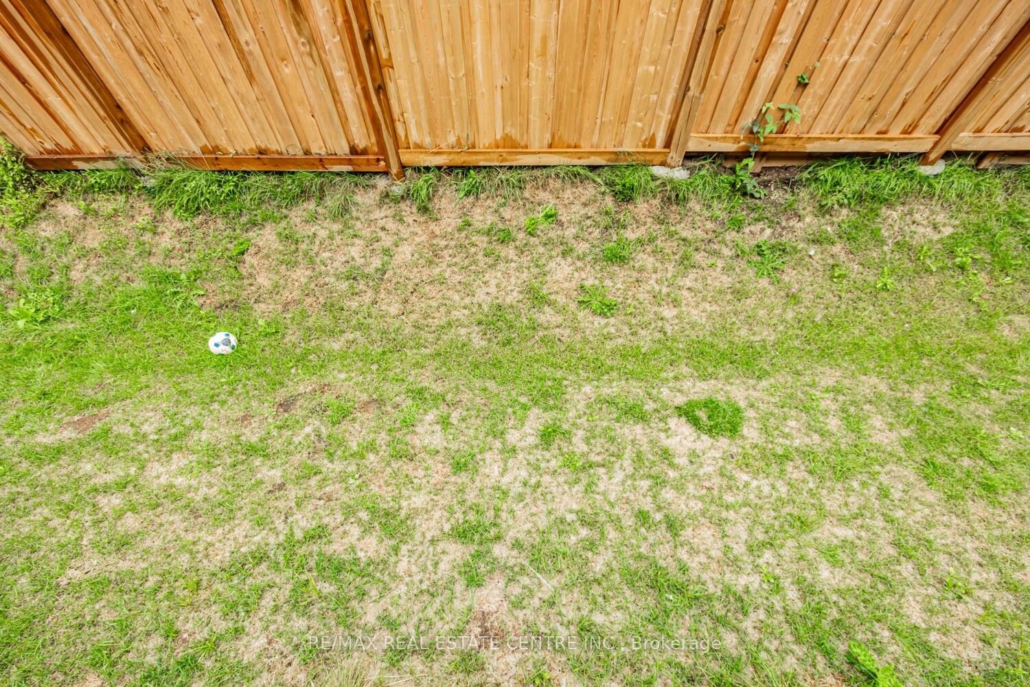 1310 Bradenton Path Property Photo 42