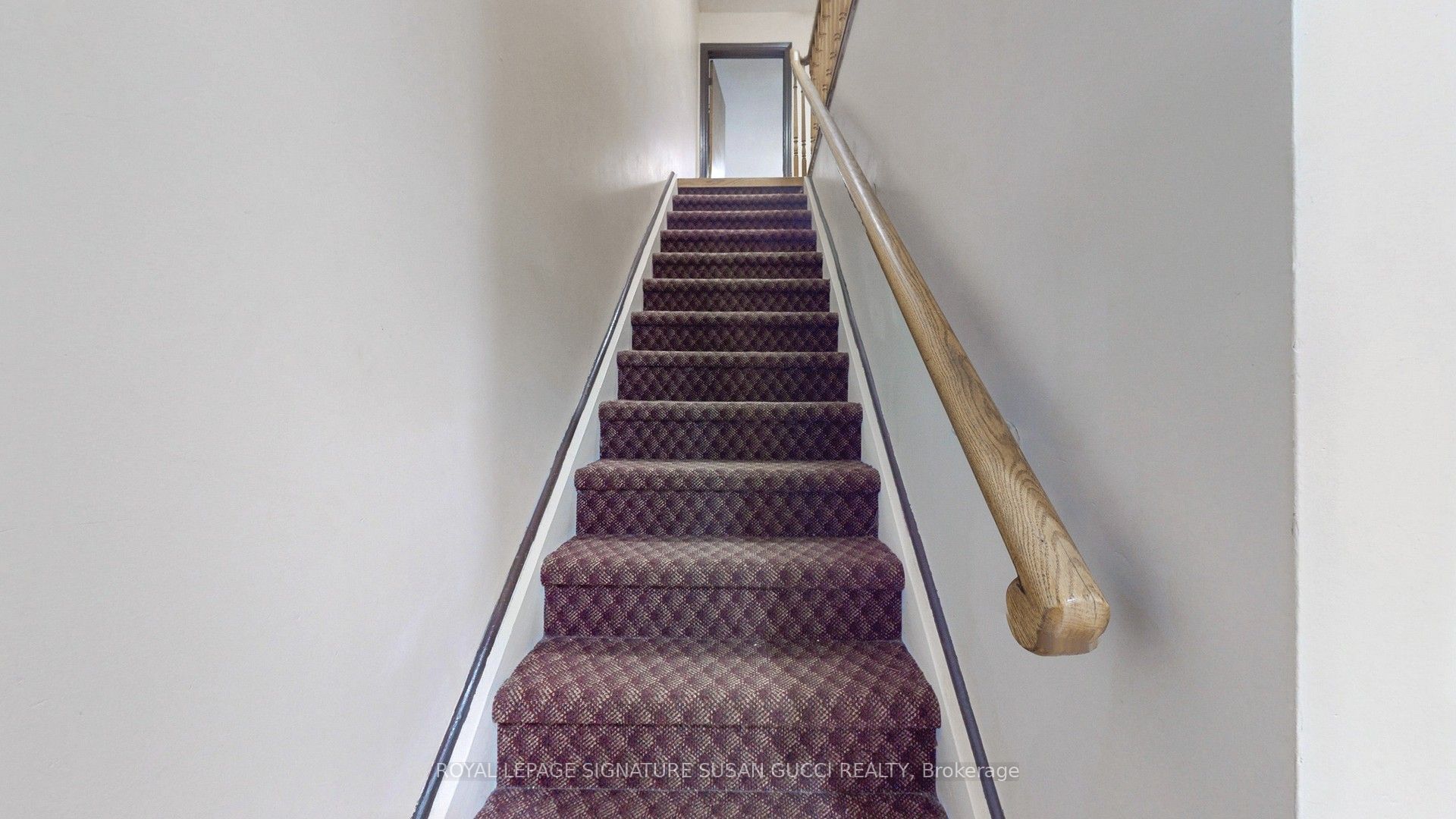 46 Albion Avenue Property Photo 18