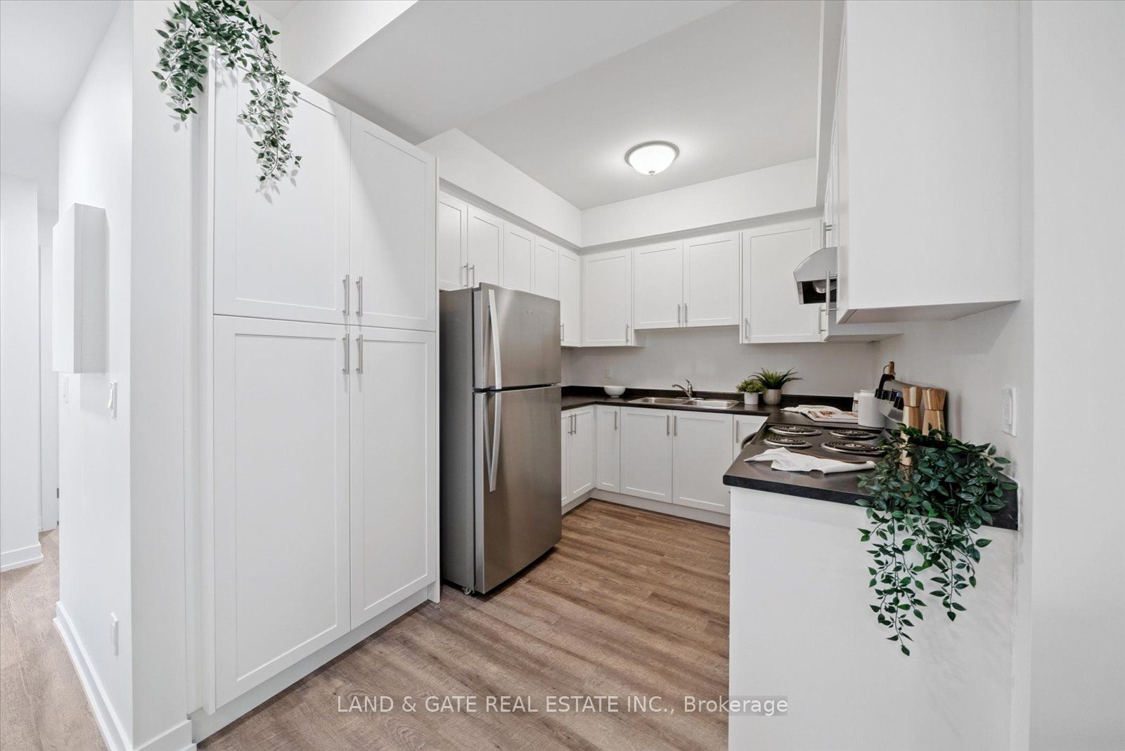 223 Albert St Property Photo 13