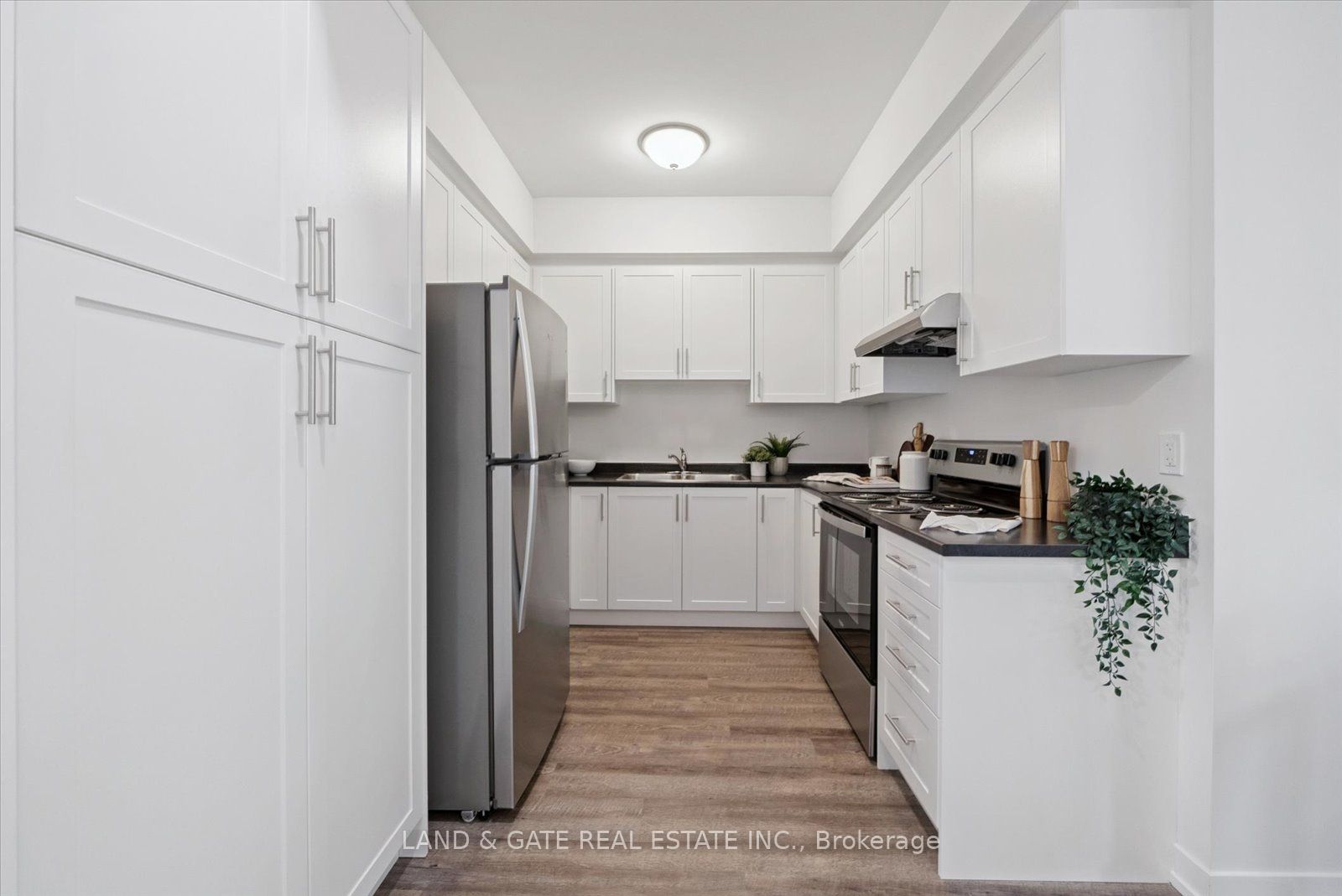 223 Albert St Property Photo 14