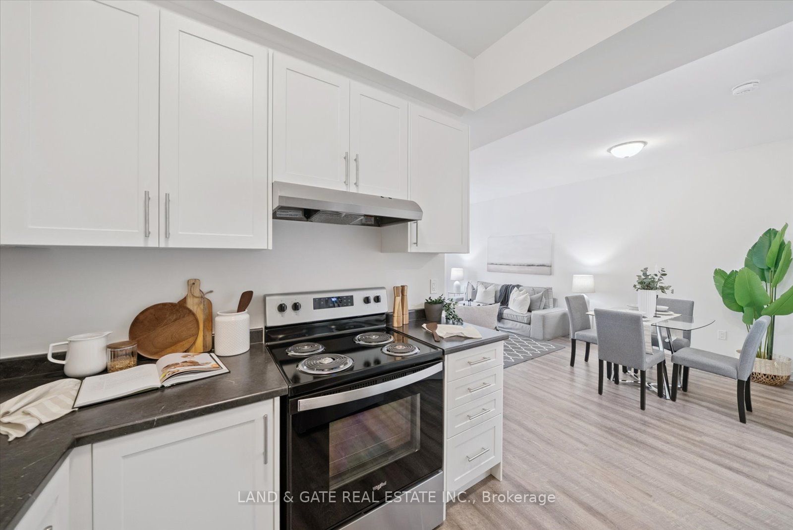 223 Albert St Property Photo 17