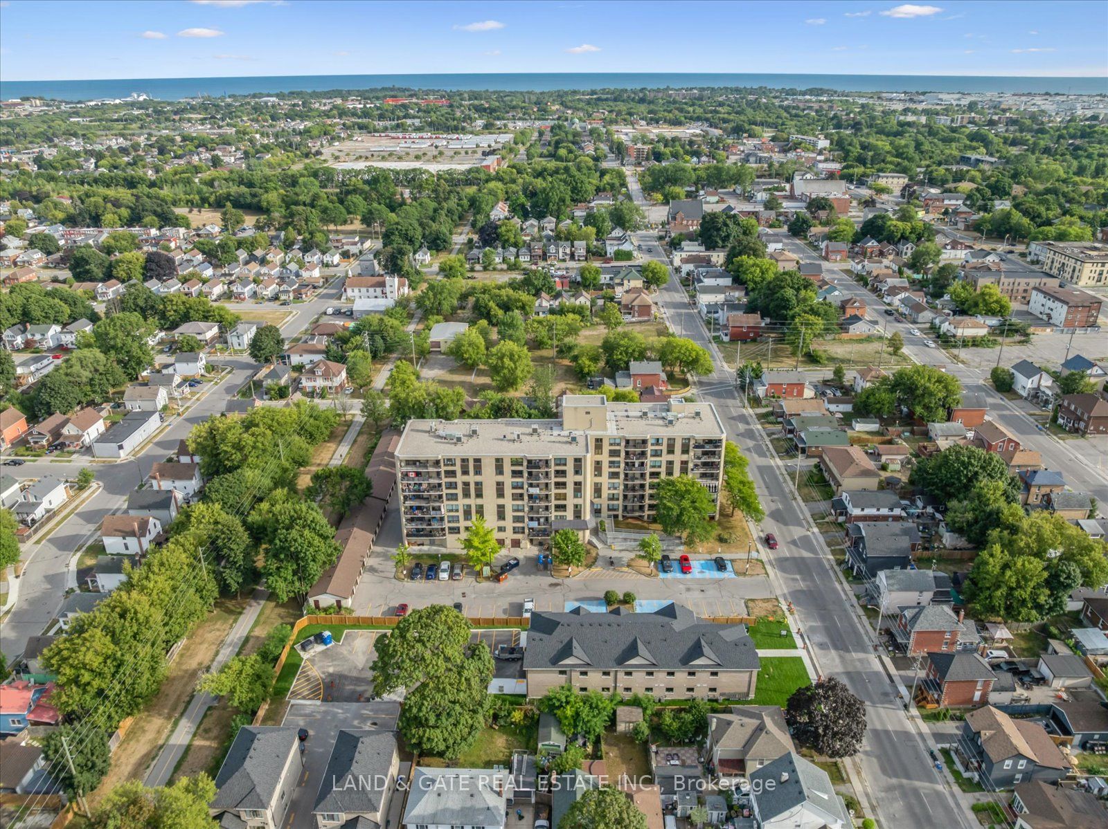 223 Albert St Property Photo 39