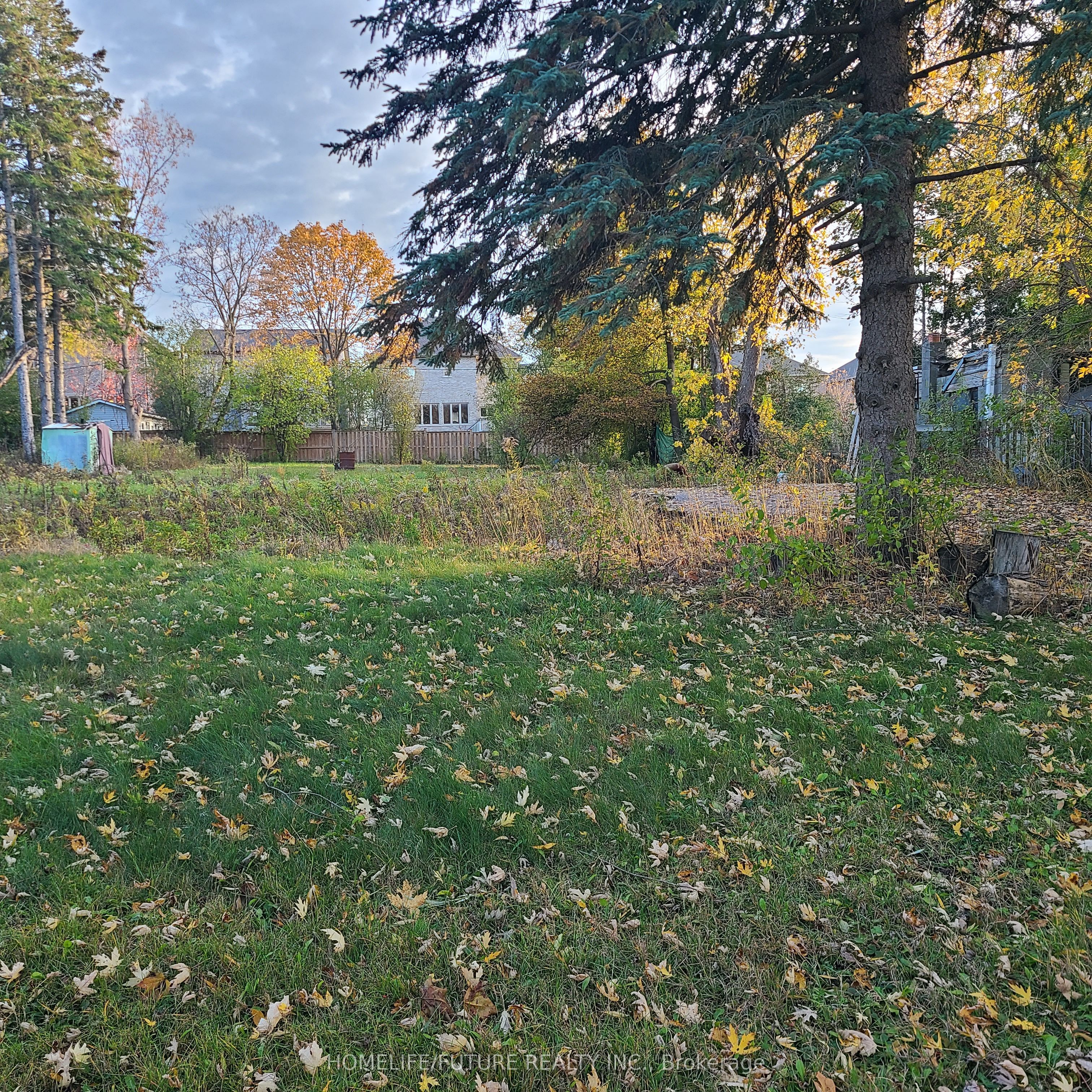 1 View Street Property Photo 6