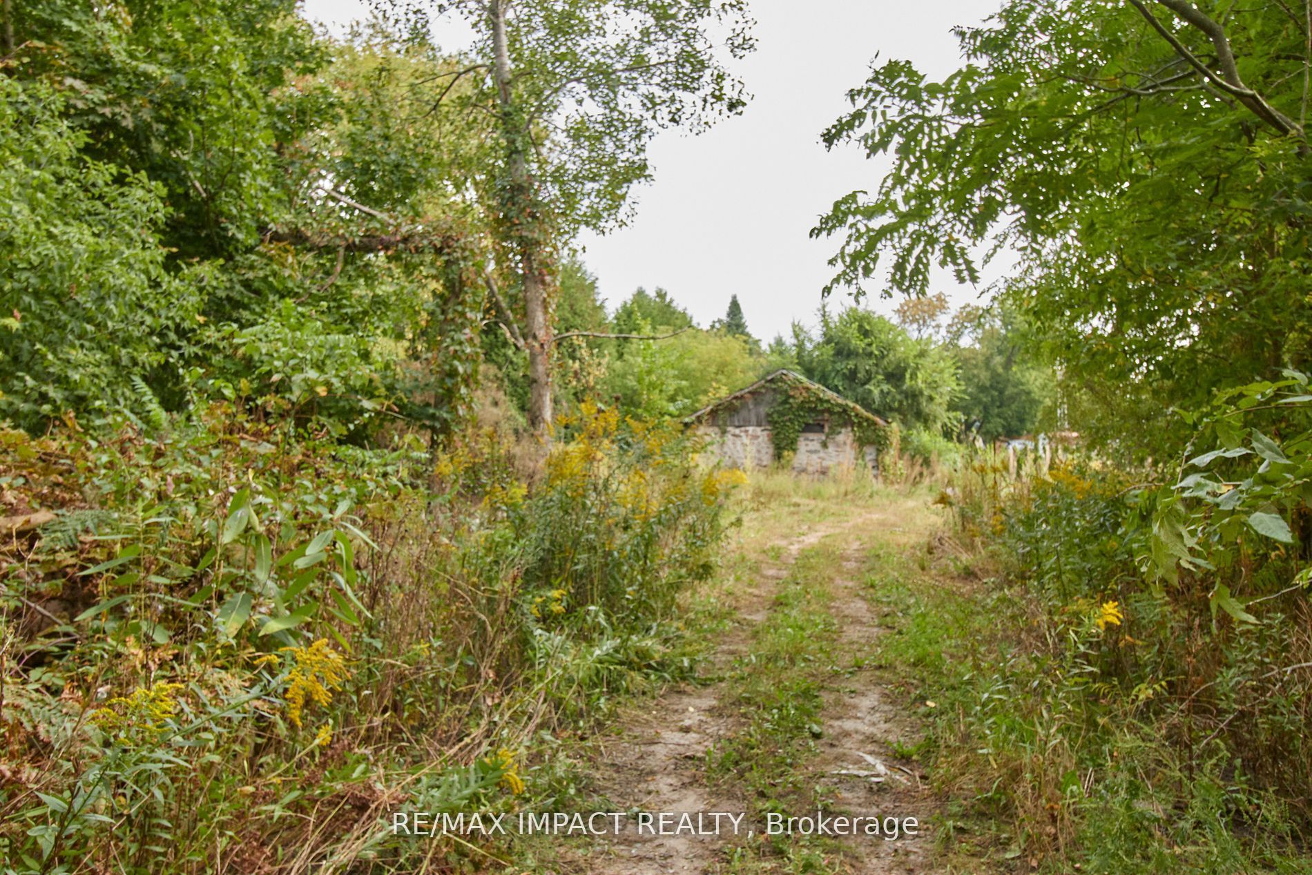 10249 Old Scugog Road Property Photo 22