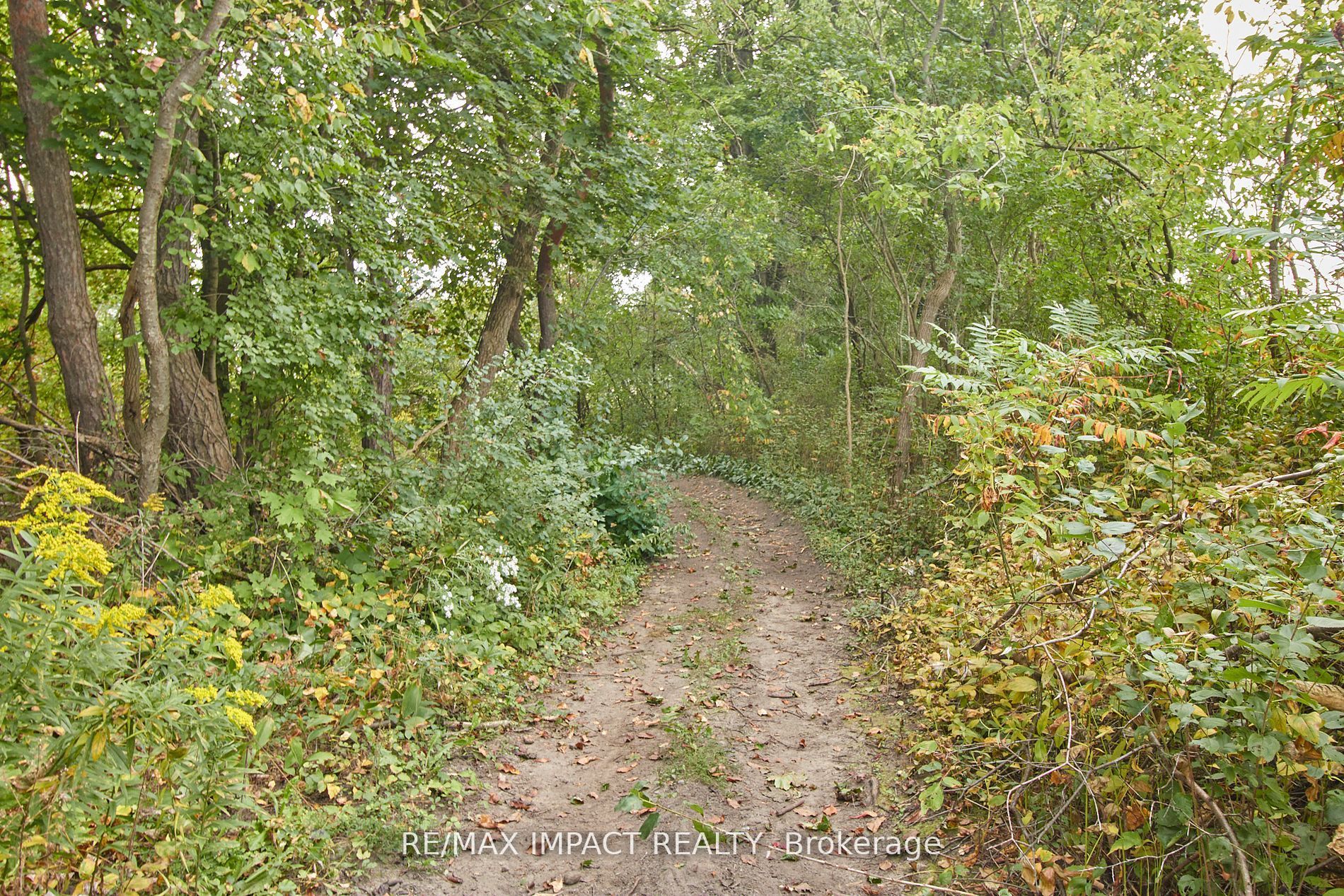 10249 Old Scugog Road Property Photo 23