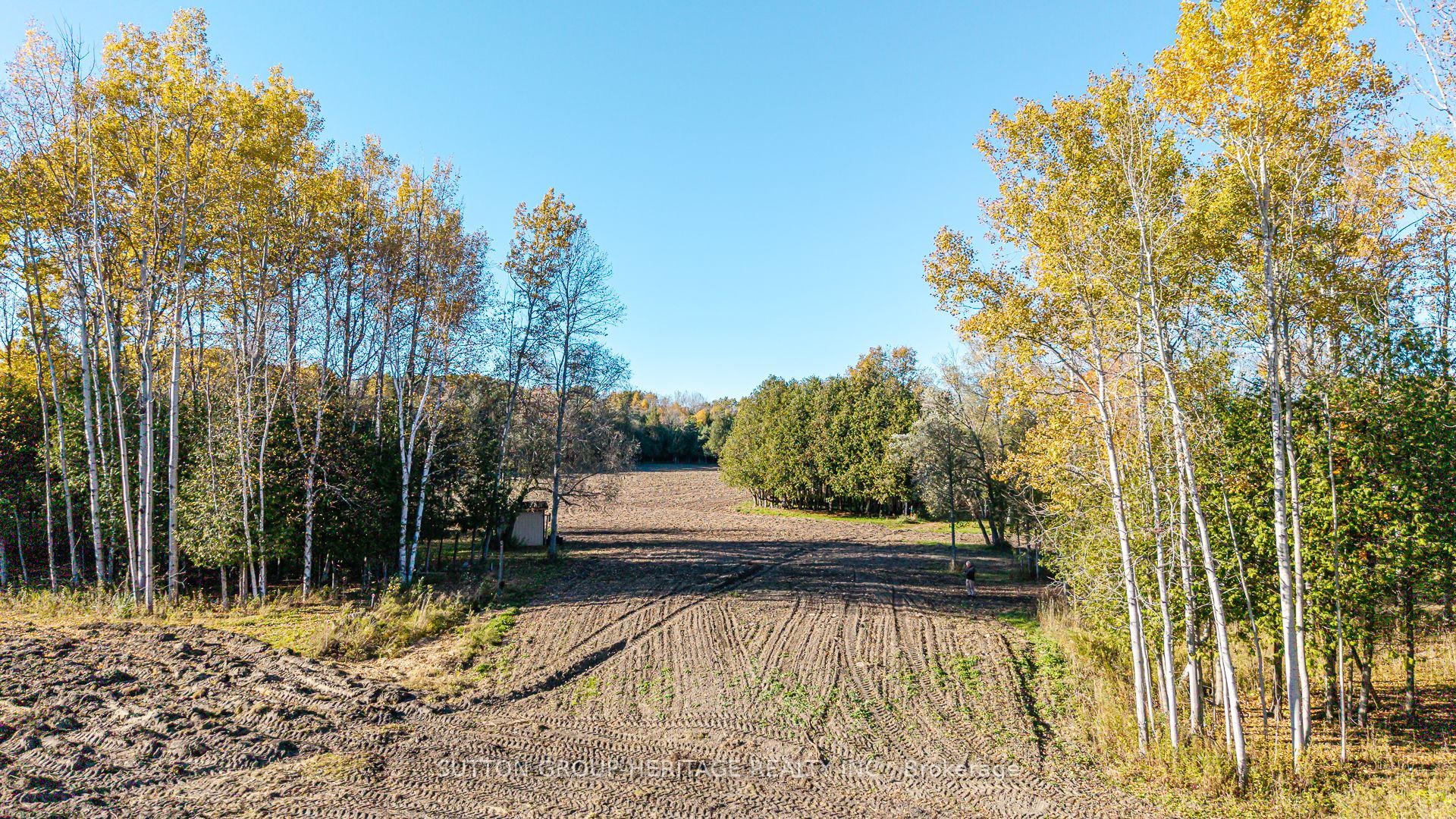 2490 Green Road Property Photo 31