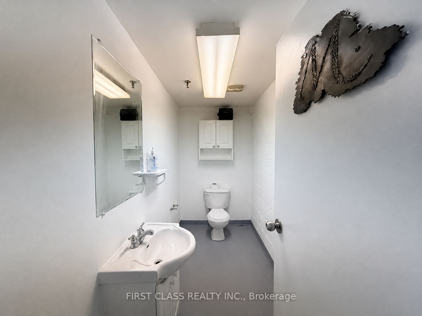 3 Carlaw Avenue 2 Property Photo 9