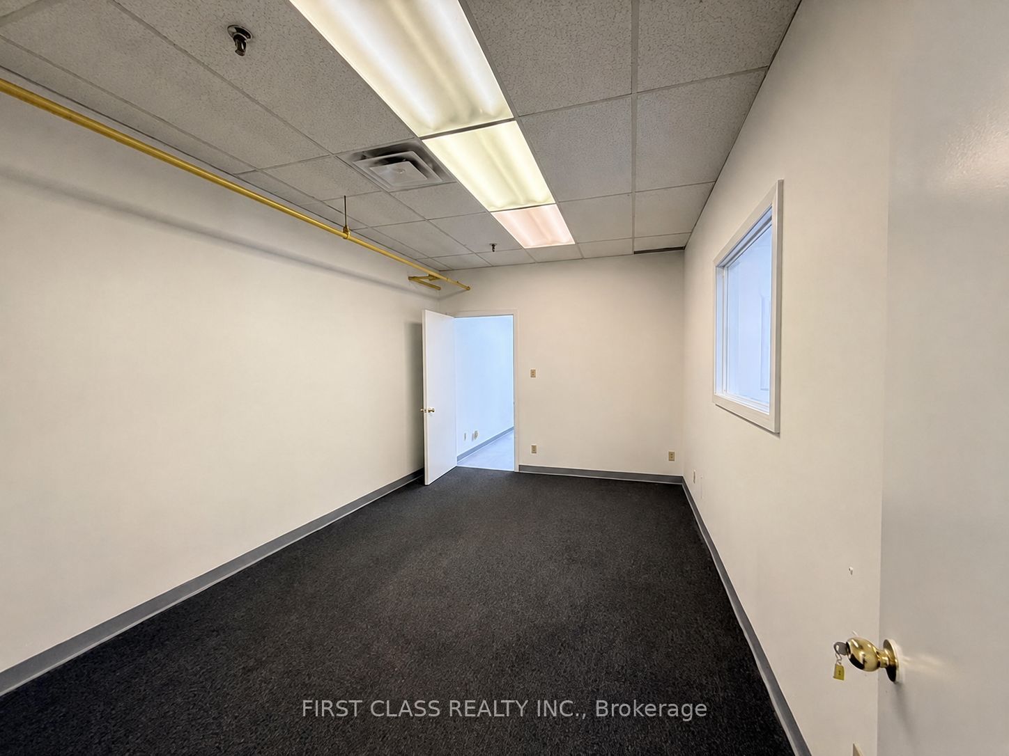 3 Carlaw Avenue 2 Property Photo 13