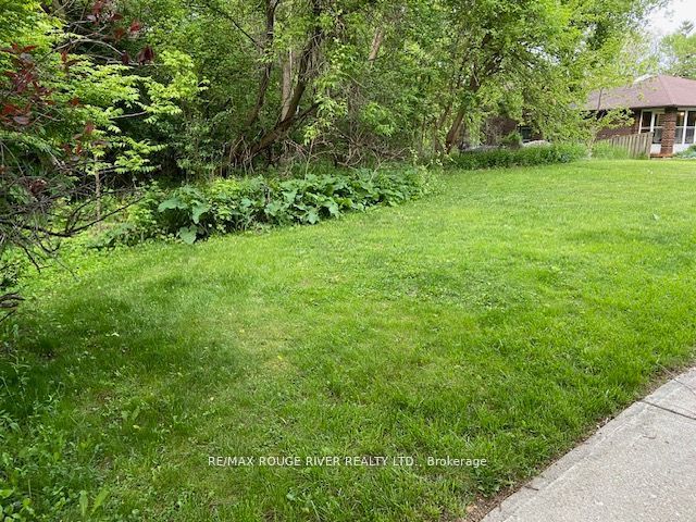 72 Meadowvale Road Property Photo 6