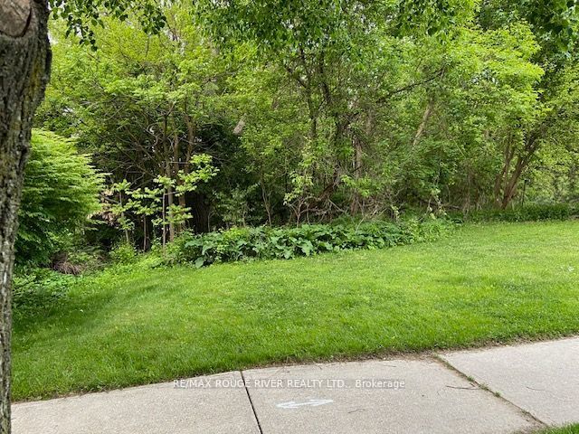 72 Meadowvale Road Property Photo 10