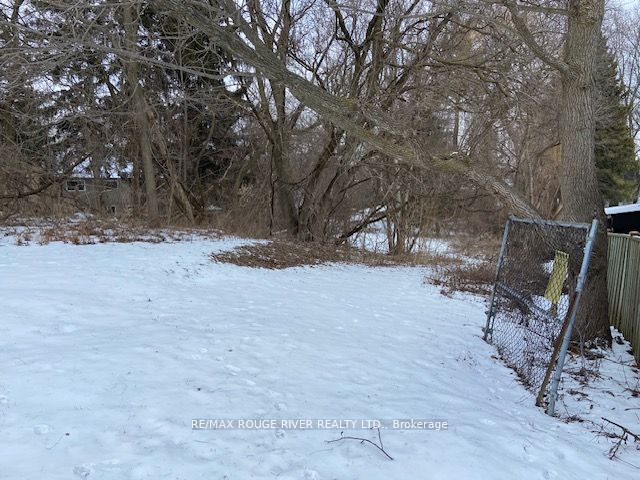 72 Meadowvale Road Property Photo 19