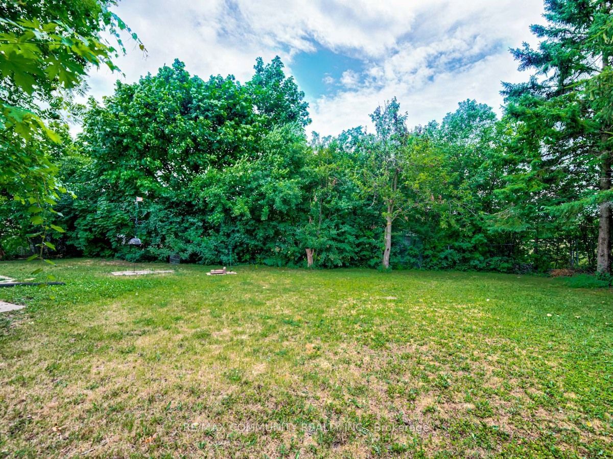 12 Moonbeam Grove Lower Level Property Photo 11