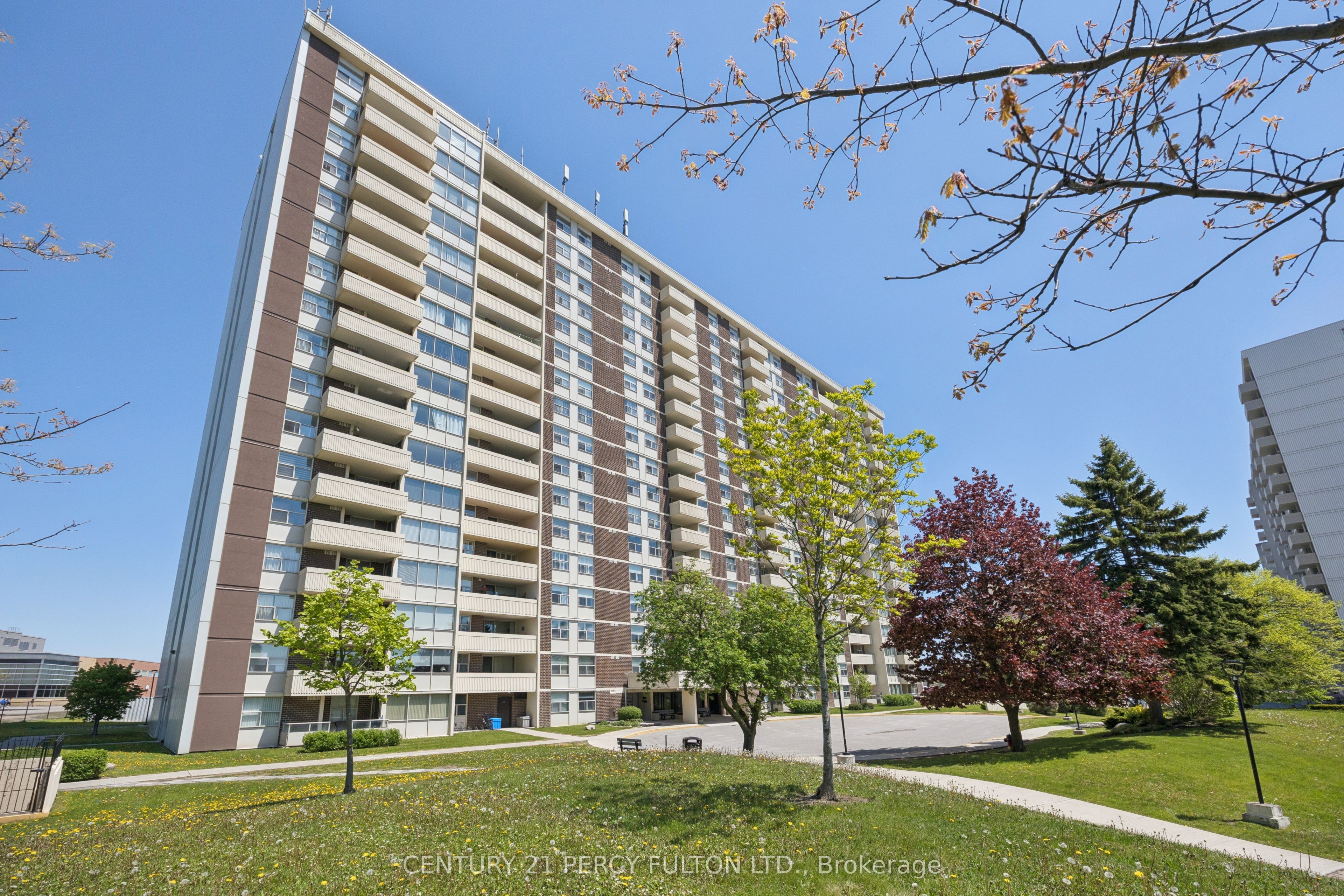 66 Falby Court Ph9 Property Photo 1
