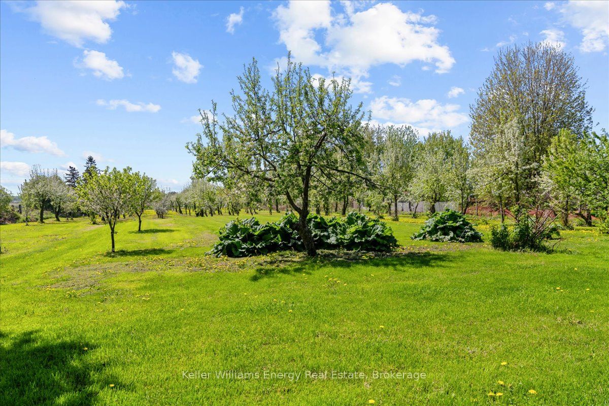 2263 Hwy 2 Property Photo 14
