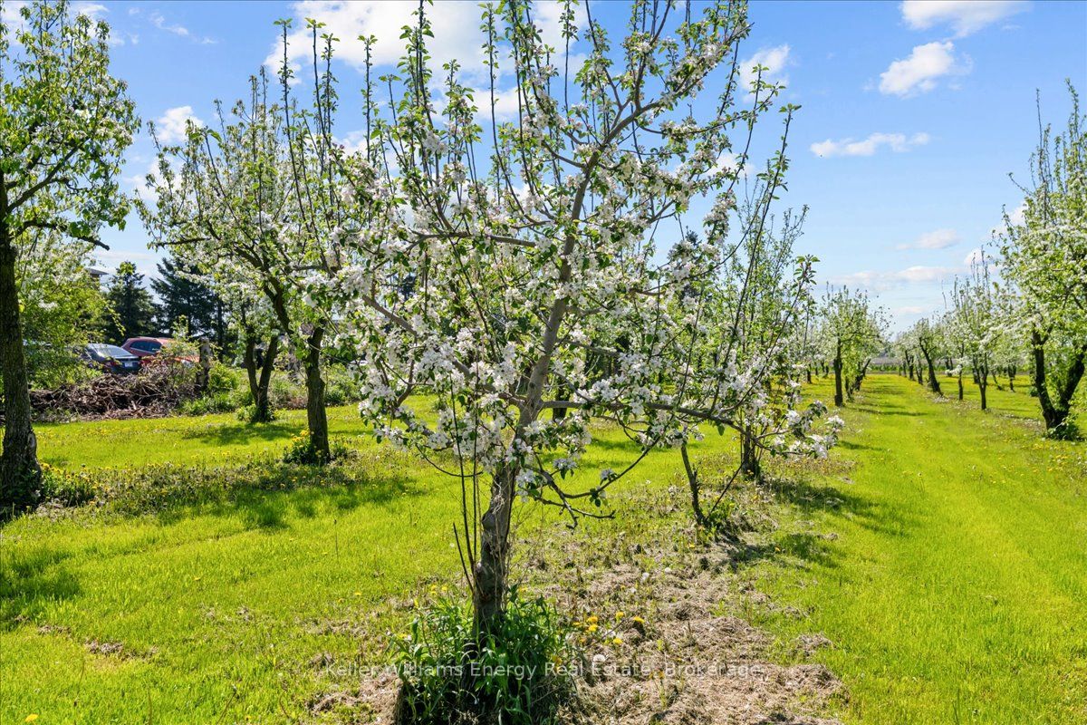 2263 Hwy 2 Property Photo 23
