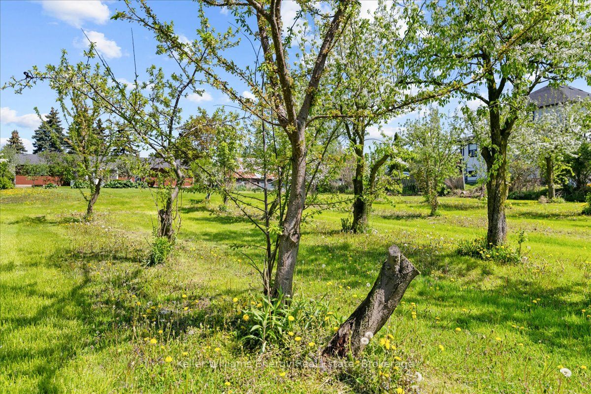 2263 Hwy 2 Property Photo 33