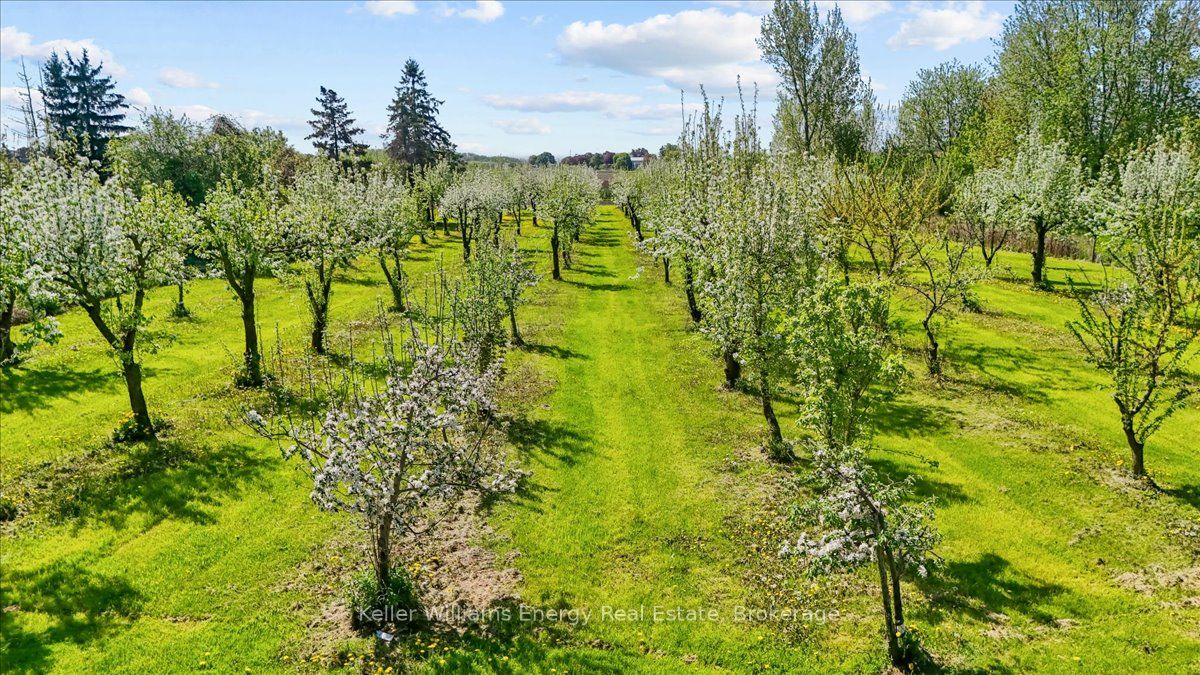 2263 Hwy 2 Property Photo 22