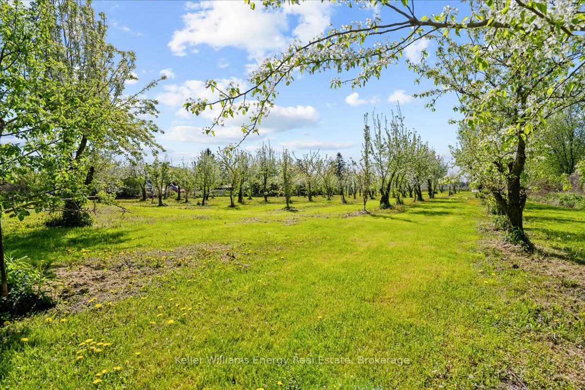 2263 Hwy 2 Property Photo 25