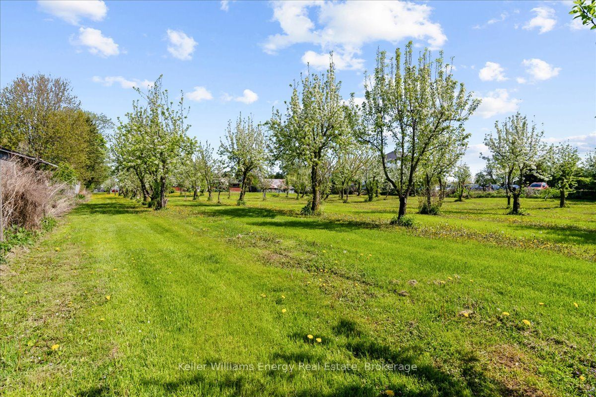 2263 Hwy 2 Property Photo 29