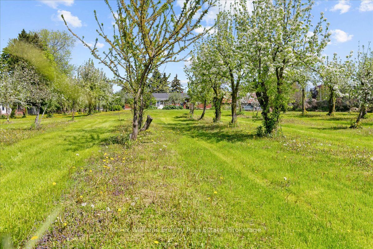 2263 Hwy 2 Property Photo 32