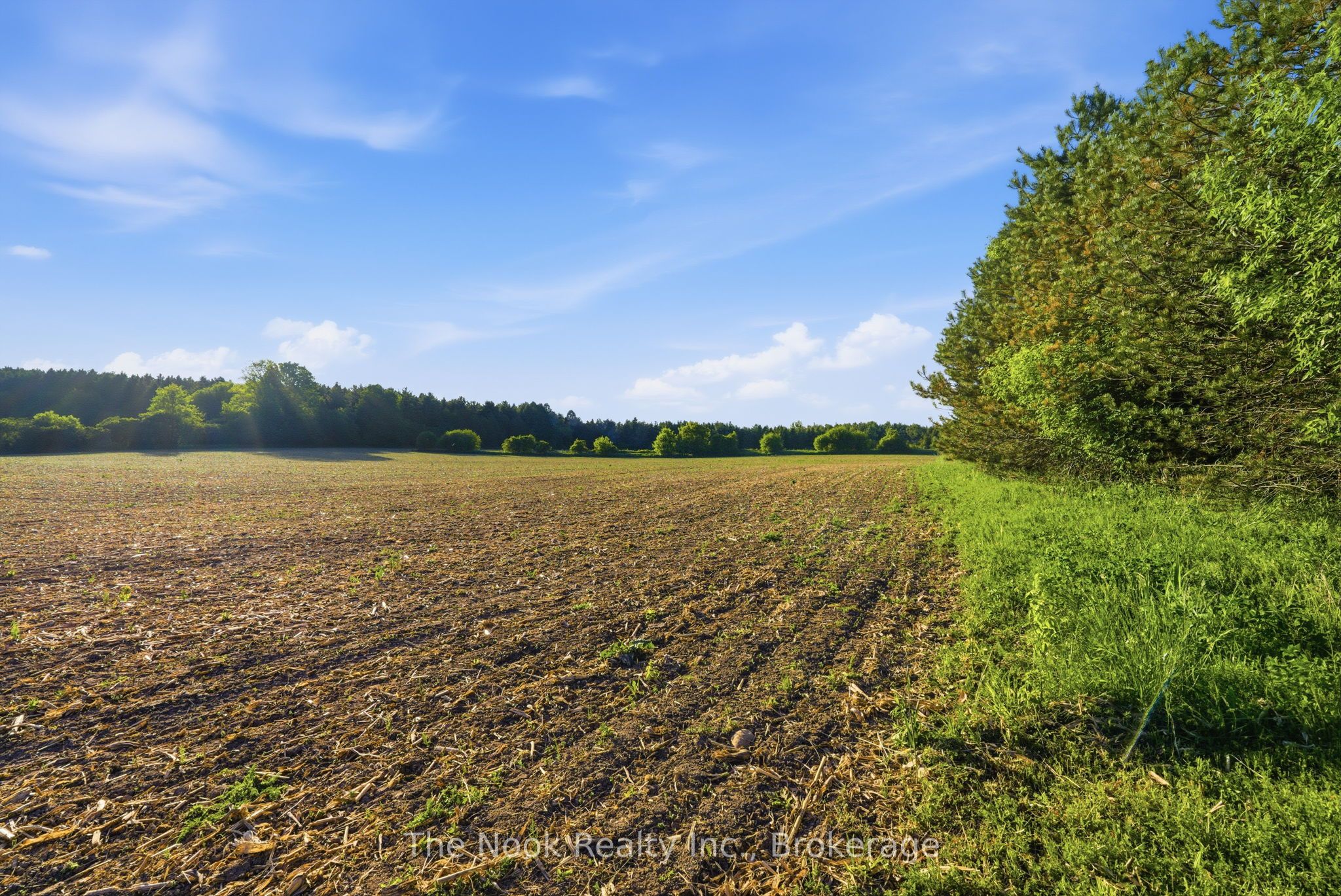 4780 Westney Road Property Photo 45