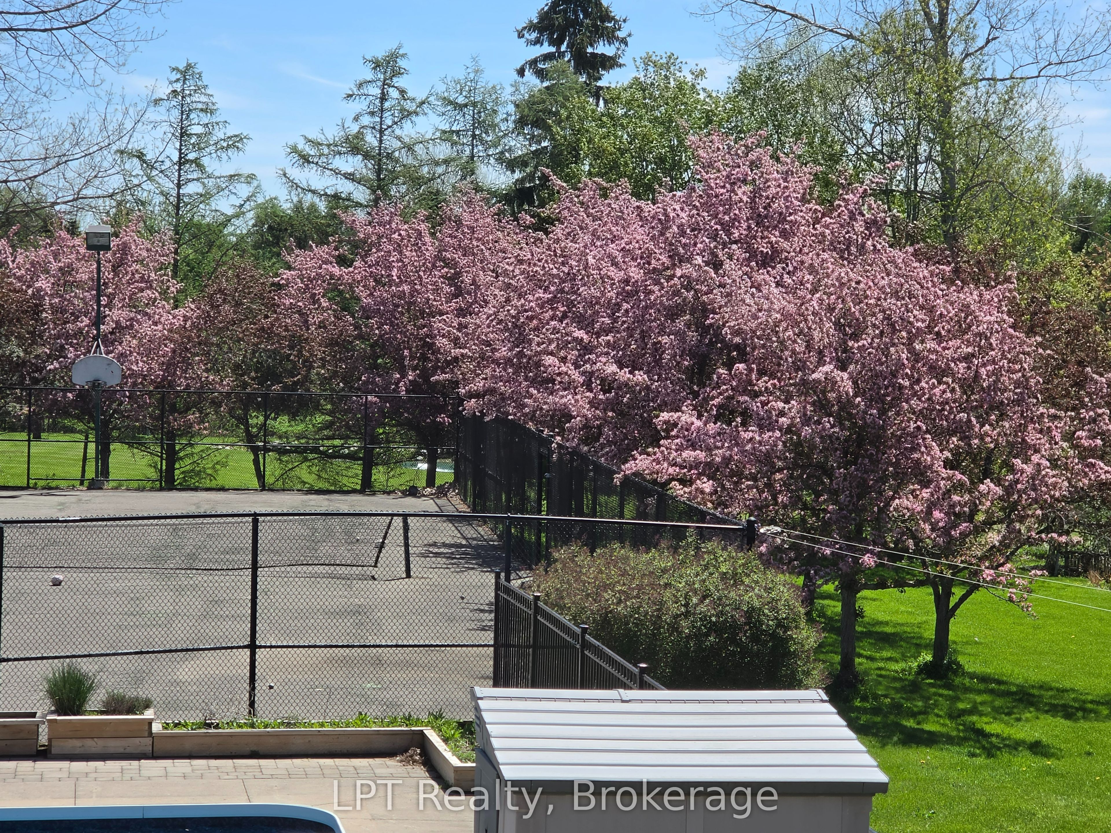 16 Cawkers Cove Road Property Photo 13