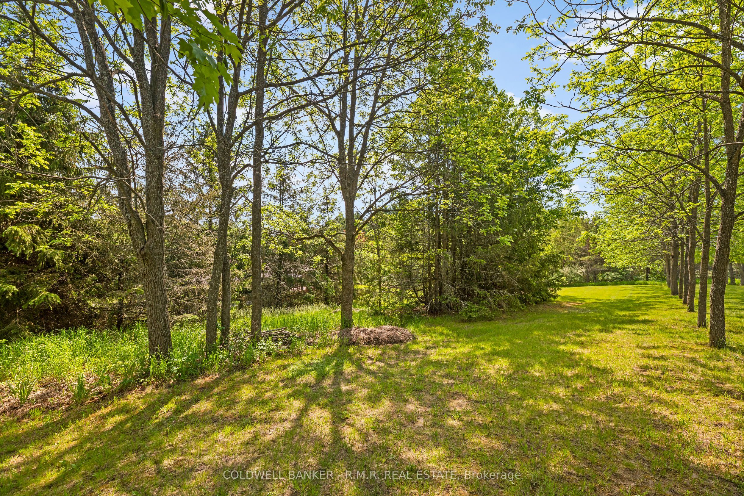 8754 Langstaff Road Property Photo 31