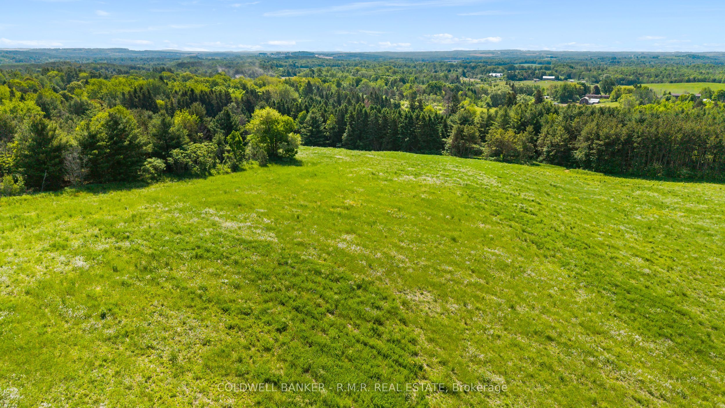 8754 Langstaff Road Property Photo 47