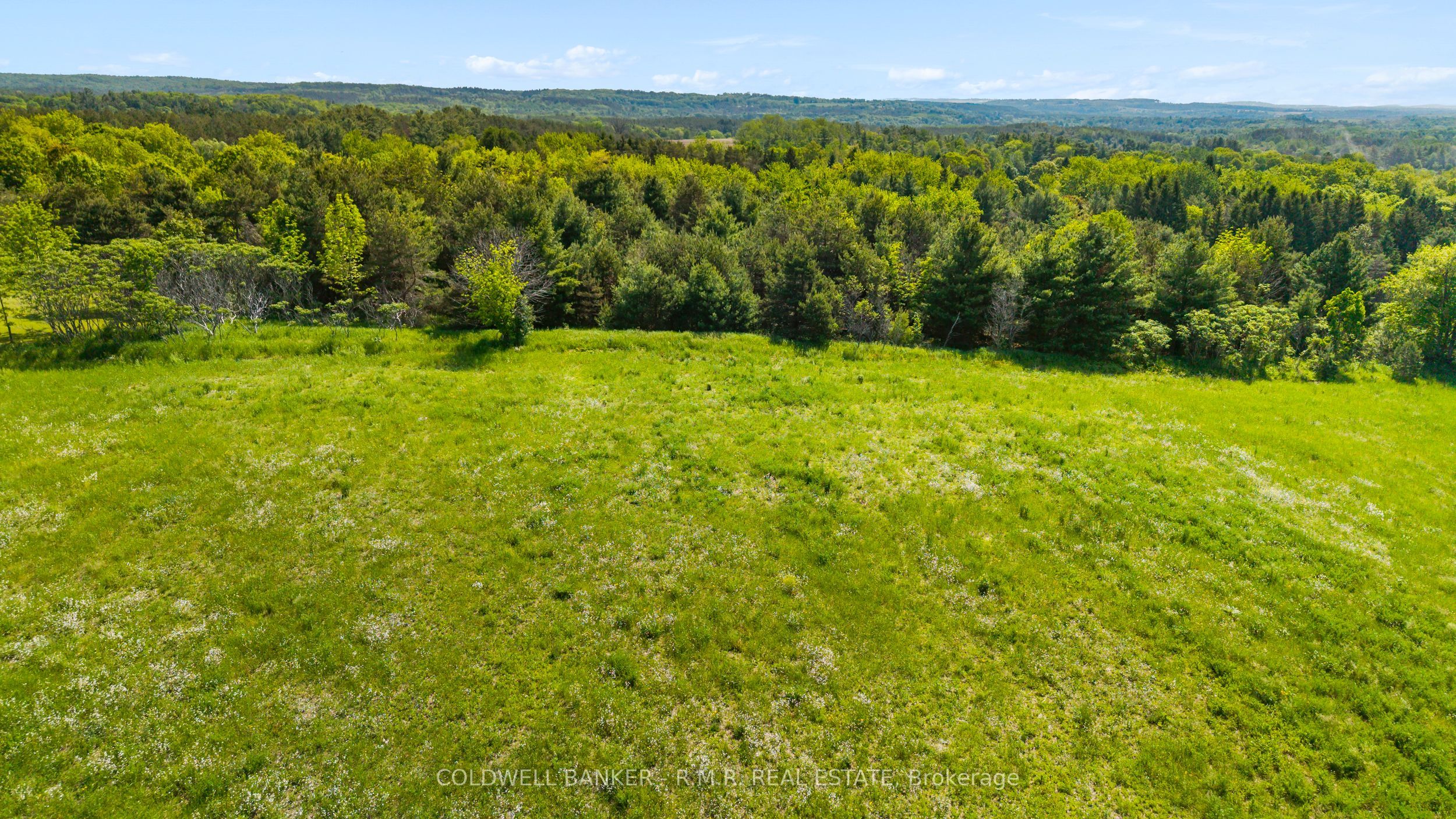 8754 Langstaff Road Property Photo 48
