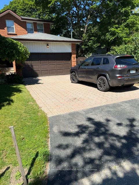 20 Bush Drive Lower Property Photo 20
