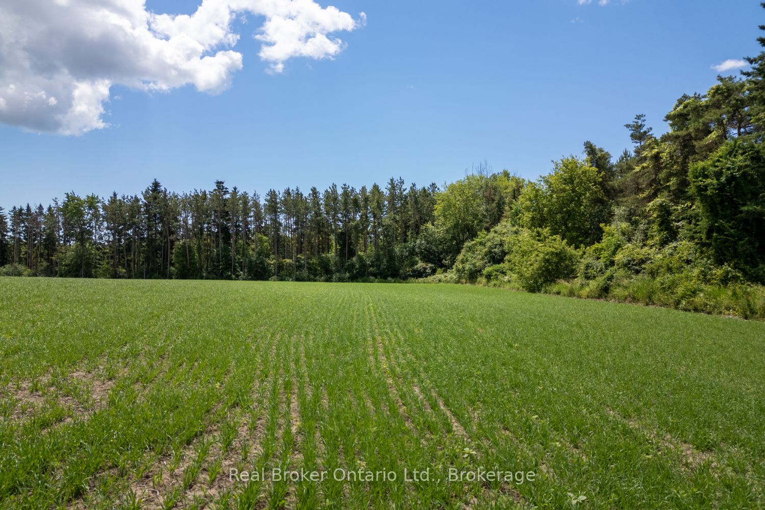 4206 Middle Road Property Photo 2