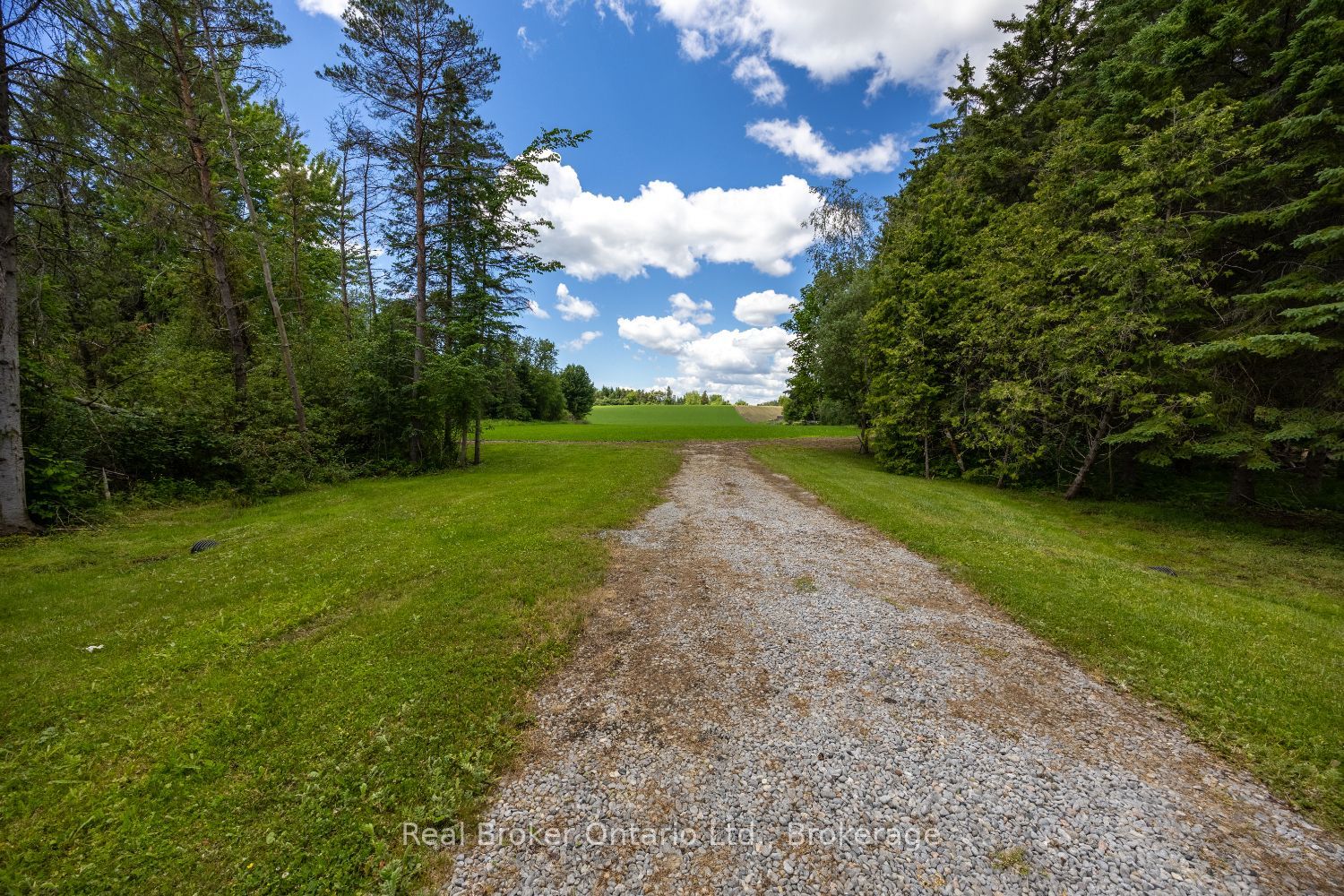 4206 Middle Road Property Photo 5
