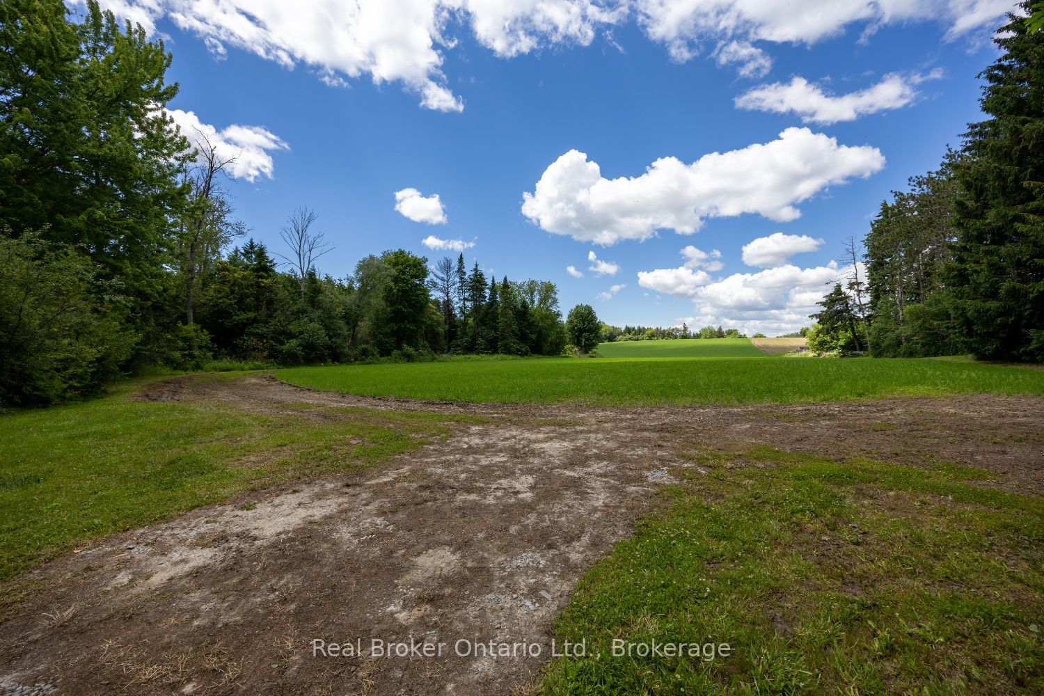 4206 Middle Road Property Photo 6