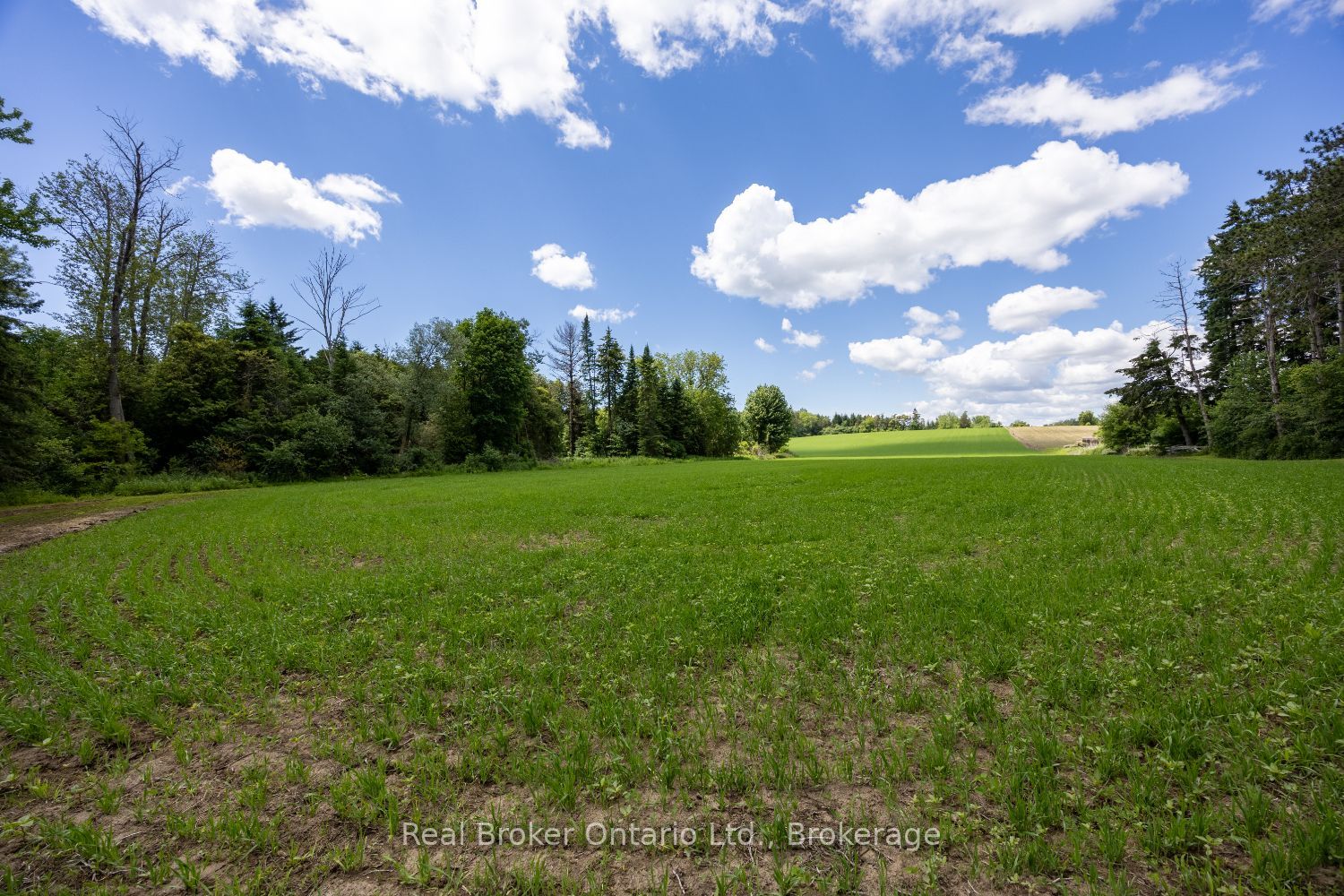 4206 Middle Road Property Photo 7