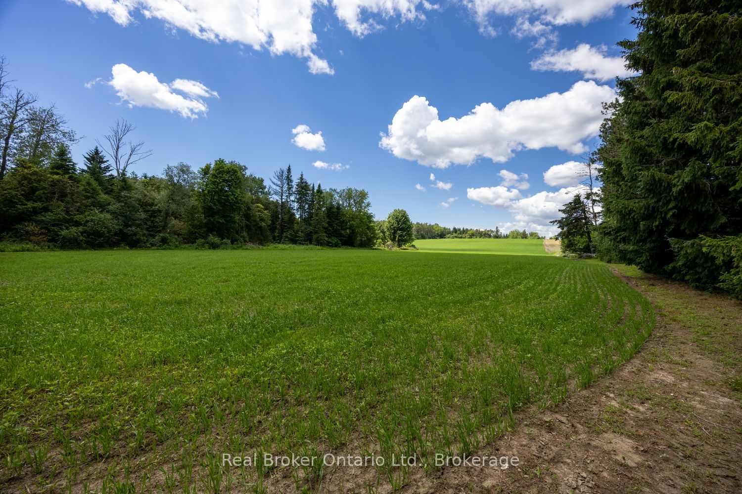 4206 Middle Road Property Photo 8
