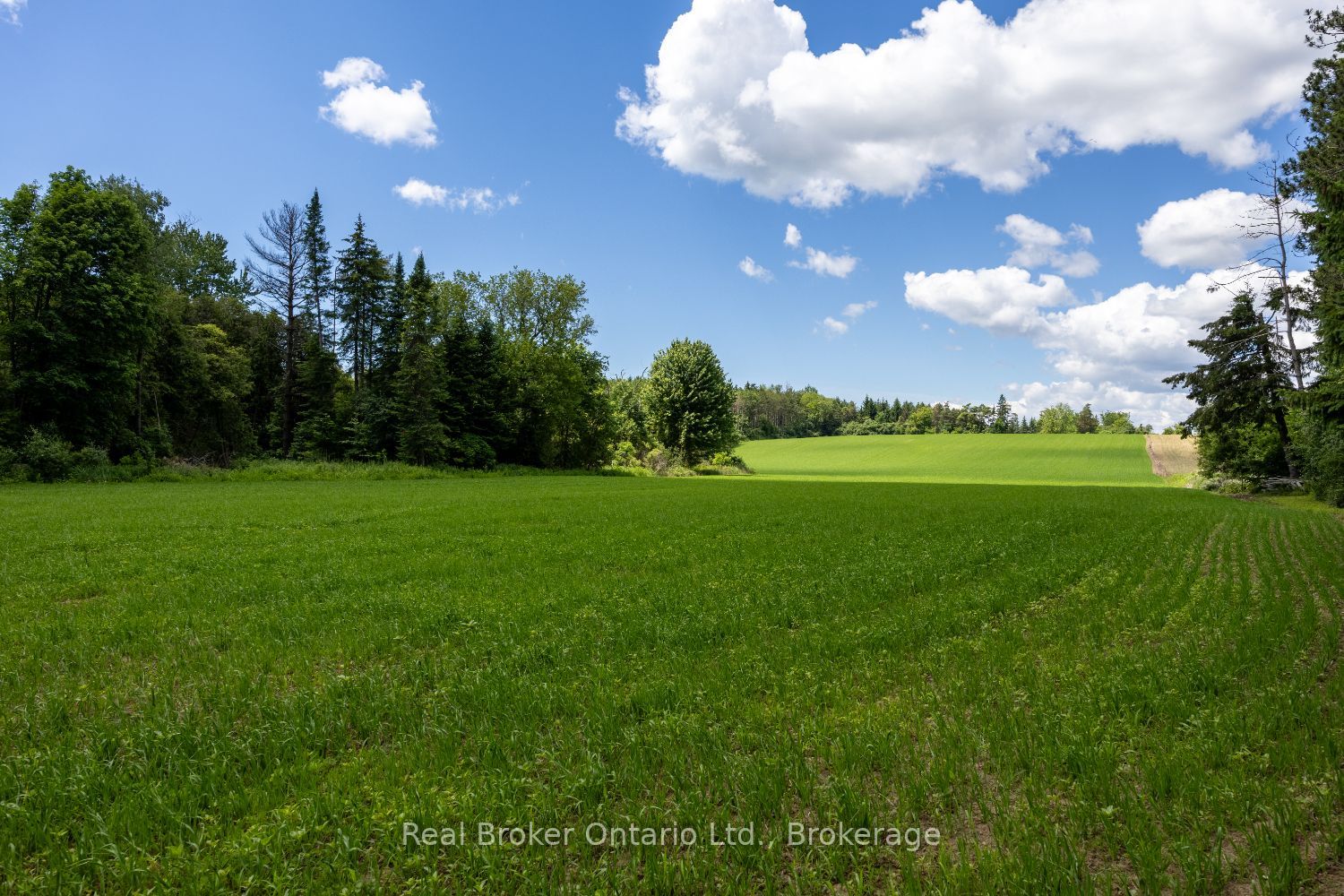 4206 Middle Road Property Photo 9