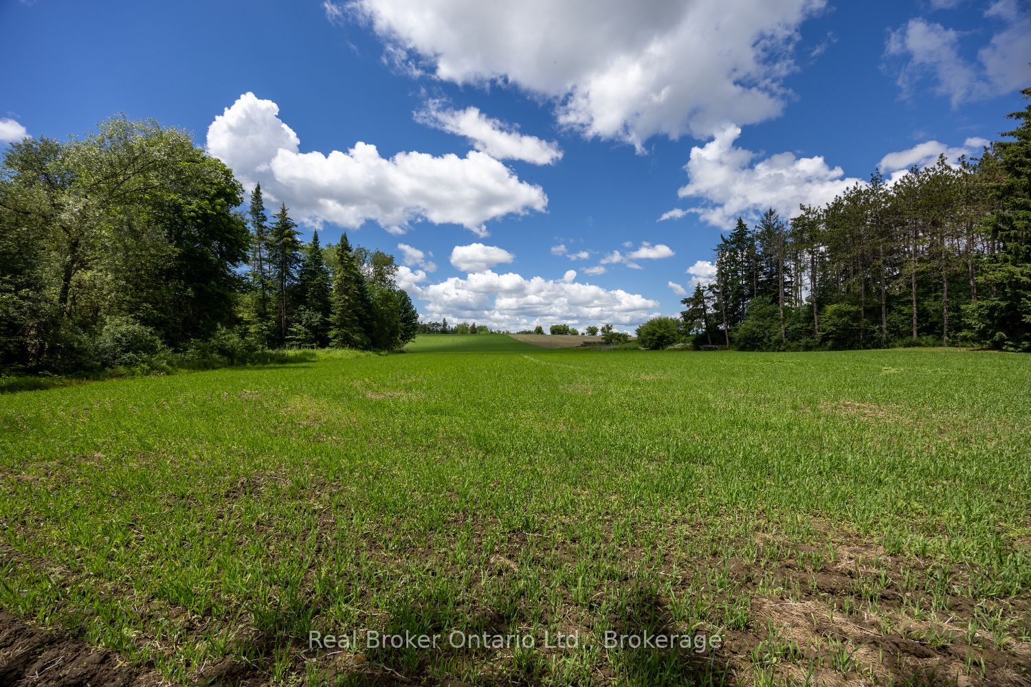 4206 Middle Road Property Photo 10