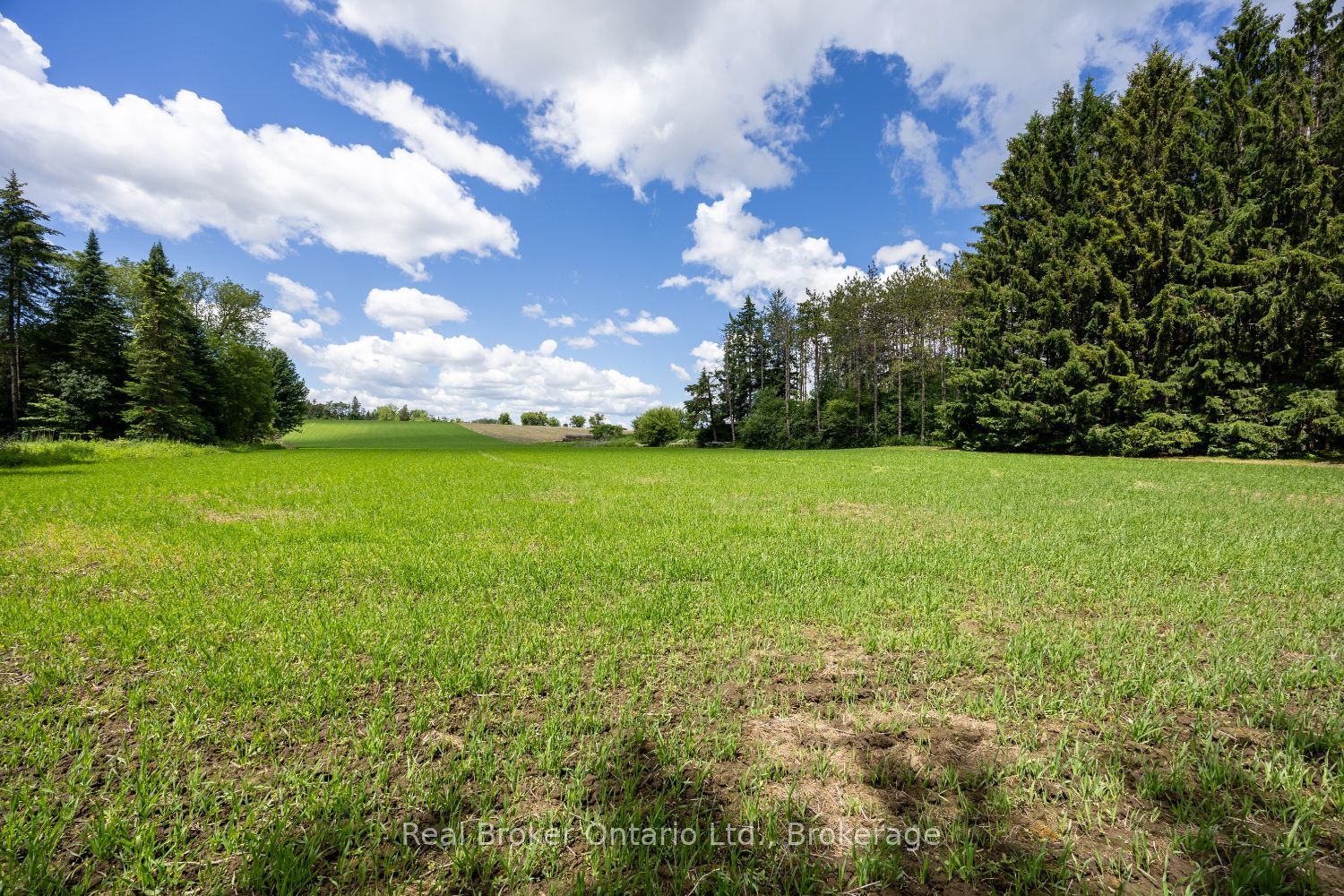 4206 Middle Road Property Photo 11