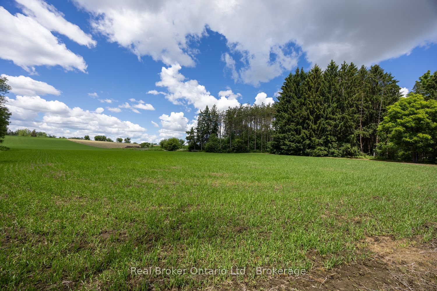 4206 Middle Road Property Photo 12