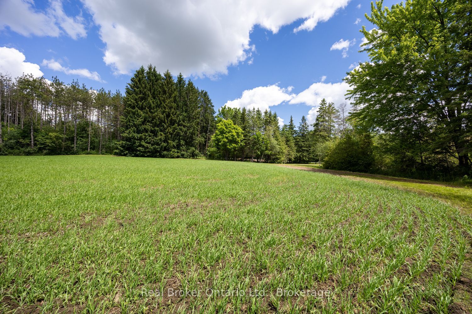 4206 Middle Road Property Photo 13