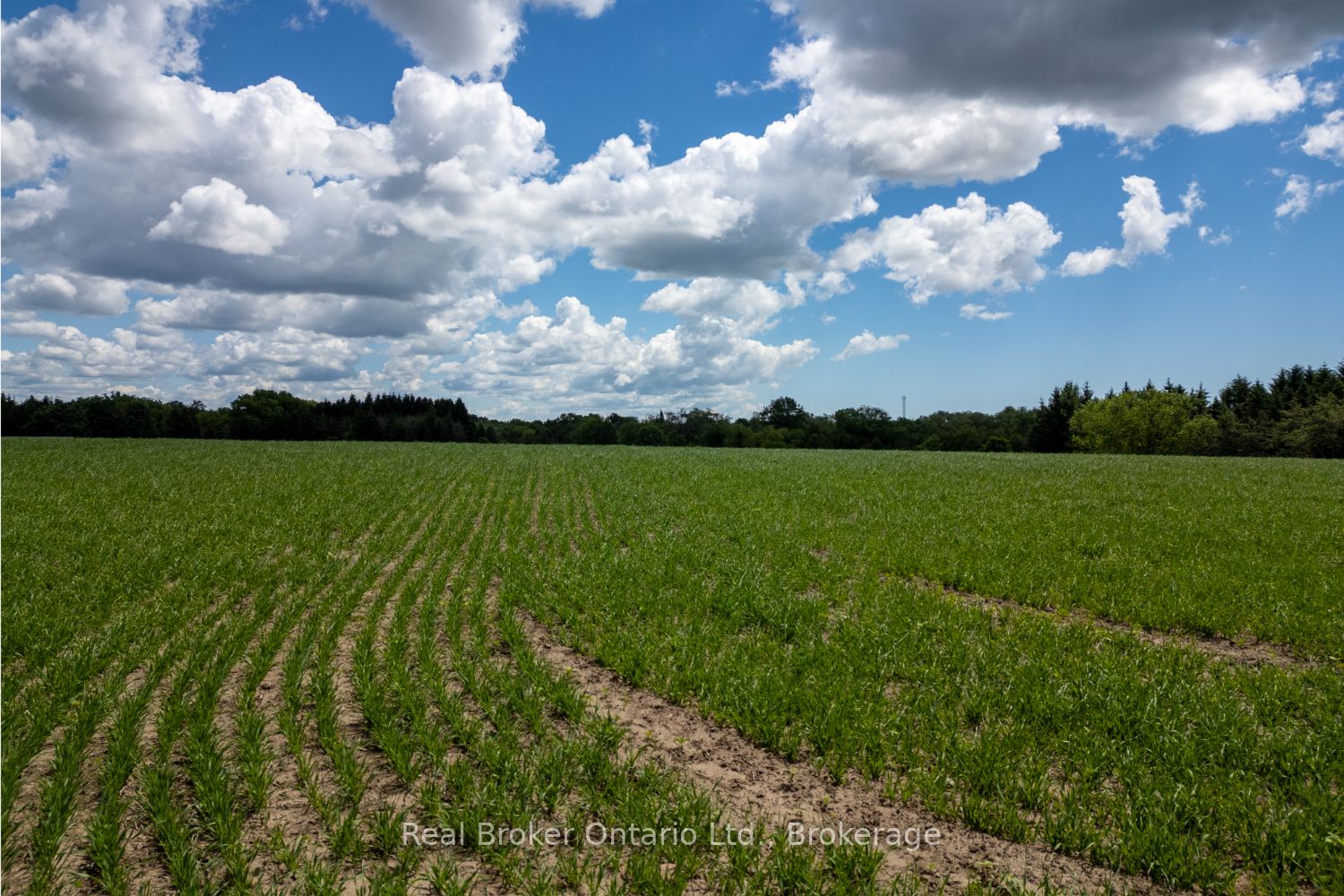 4206 Middle Road Property Photo 16