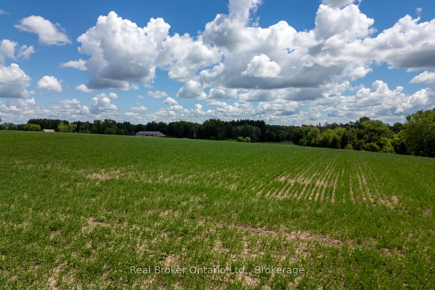 4206 Middle Road Property Photo 17