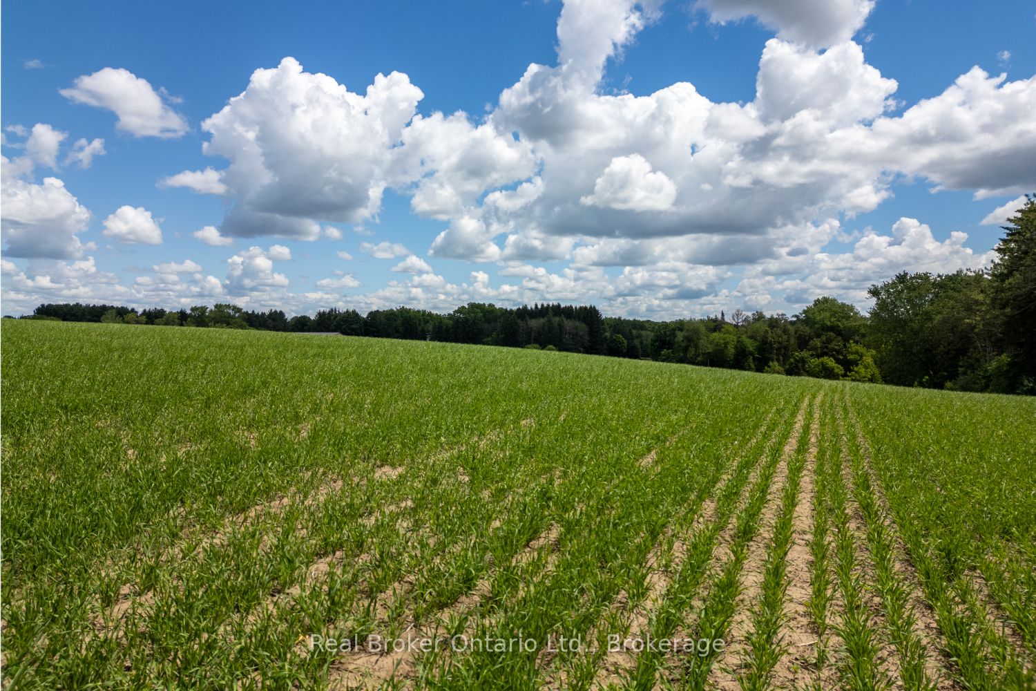 4206 Middle Road Property Photo 18