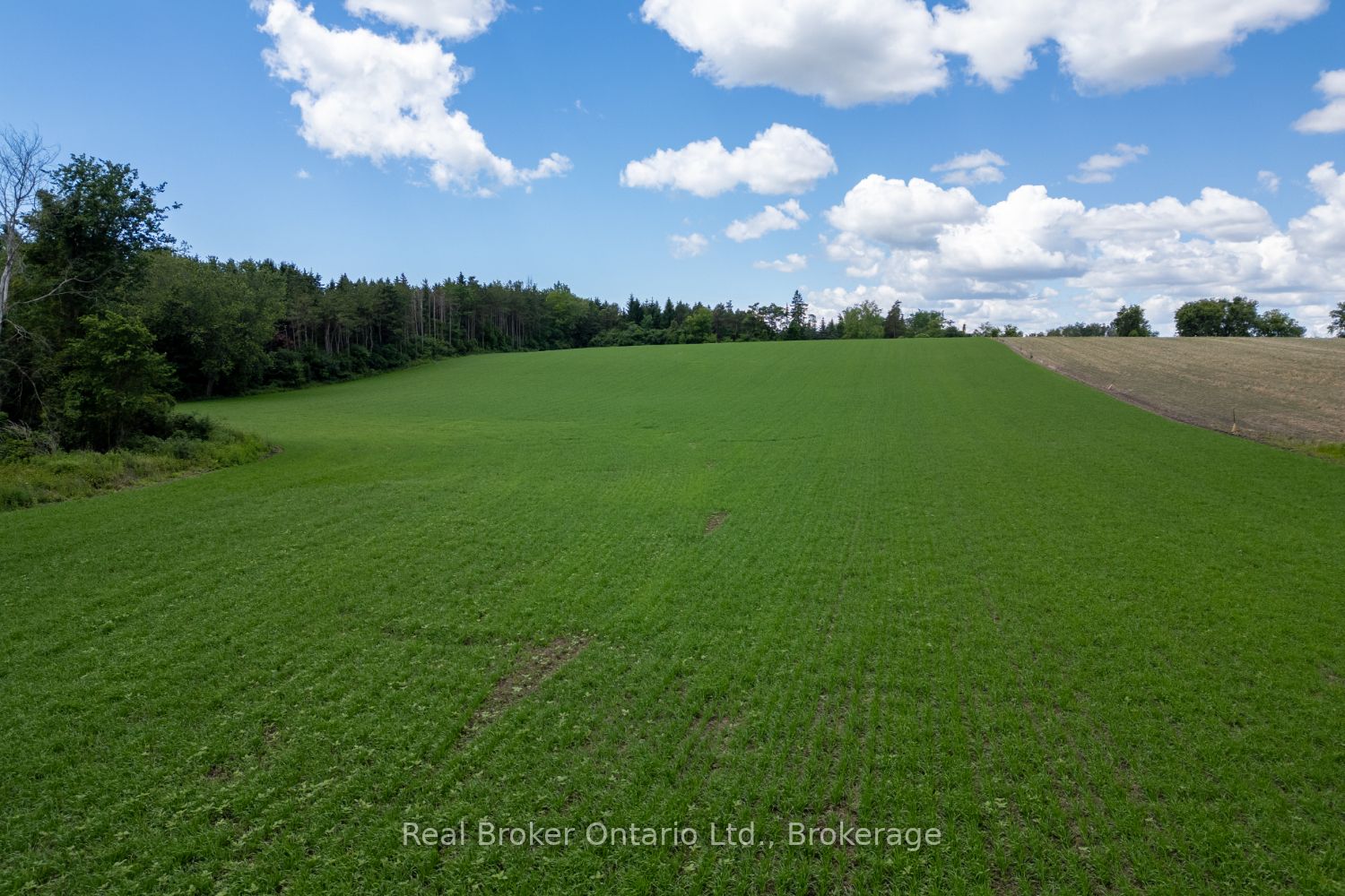 4206 Middle Road Property Photo 22