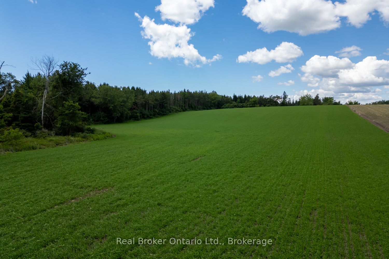4206 Middle Road Property Photo 23